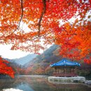 [국내여행]가을 사진 끝판왕! 한국의 가을 풍경 / 여행 정보방 , 스타님 작품 이미지