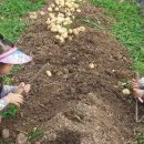 노적애뜰 이미지