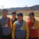 홍주초등학교 이미지