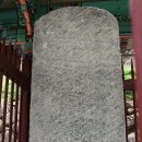 충신의사단비 이미지