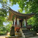 종로-종로-종로-종-153 | 창덕궁 비밀의 화원 그리고 광장시장까지 궁능성시길