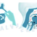 그린필치과의원 이미지