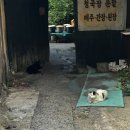 어멜리즈 | 6월 일상 뚠뚠