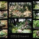 온실정원 이미지