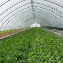 한양그린농장 이미지