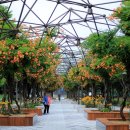 부천중앙공원매점 이미지