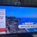 제주양부장투어