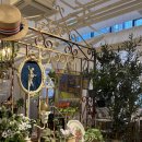 바로키친 | 마곡 원그로브 하우스 오브 디라이프스타일 키친 내돈내산 후기