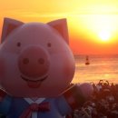 김밥이랑 토스트 이미지