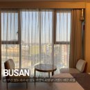 그랜드베른호텔 | 부산 영도구 가성비 숙소, 그랜드 베른 호텔 더블룸 투숙 후기