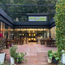 야채수건강원 이미지