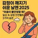 🧷 감정이 깨지기 쉬운 날엔 2025 - &#34;마음이 불안정할 때?&#34; 일상 속 감정 안전벨트 3가지 습관