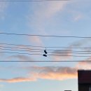 등대주유소 이미지