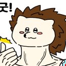 인택트(Intact) 이미지