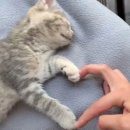 데이리에 이미지