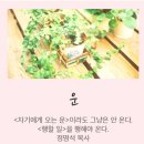 운이좋아 이미지