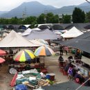 참새방앗간 이미지