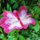 은혜병원 이미지