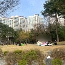 동탄센트럴파크 인라인스케이트장 이미지