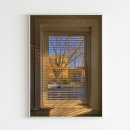 올웨이즈 이미지