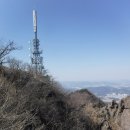 여우와늑대 이미지