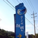 양양오토자동차 이미지