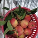 태송농원 이미지