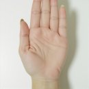 아름다운 경기도 문산읍 꽃집 방문 후기와 서비스 소개