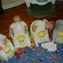 레몬트리 이미지