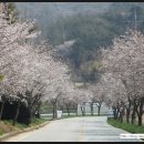 사람과여행
