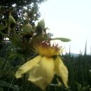 고향농장 이미지