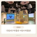 국립대구박물관 어린이박물관 디지털아트존 체험 주말 예약 후기