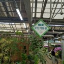 양재화훼공판장 화장실 이미지