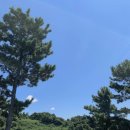 미향아구탕 | 제주여행 2