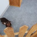 방글방글 애견샵 이미지