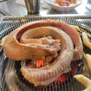 빨간꼼장어 이미지