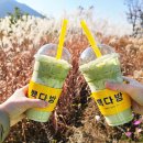 풀잎다방 | 빽다방 말차크림라떼 할인 3천원에 즐겨