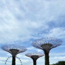 우림슈퍼 이미지