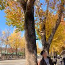 효자로 L 이미지