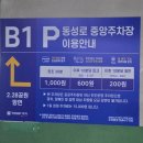 4662 | [대구 중구]아쿠아밸리 블루 라운지 동성로점 이색 실내 동물 체험 카페 방문 솔직 후기