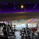 아이스크림365삼산 | 울산삼산동헬스장 육성피트니스 핏제로 삼산 헬스pt 24시간 프리미엄 시설 체험 후기