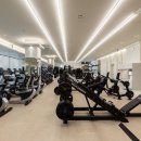 탑휘트니스 이미지