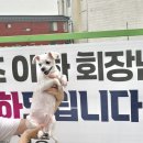 (주)마이미 이미지