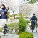 단지 이미지