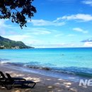 스윔월드 이미지