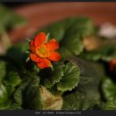 신구대학교 이미지