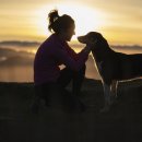 연수동물메디컬센터 이미지