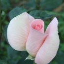 원지농원 이미지