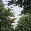 미라클태권도장 이미지