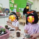 상지초교병설유치원 이미지